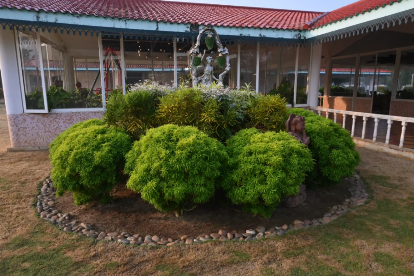 Garden with sculpture and greenery